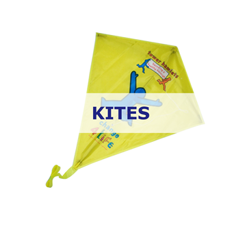 Picture for category Kites